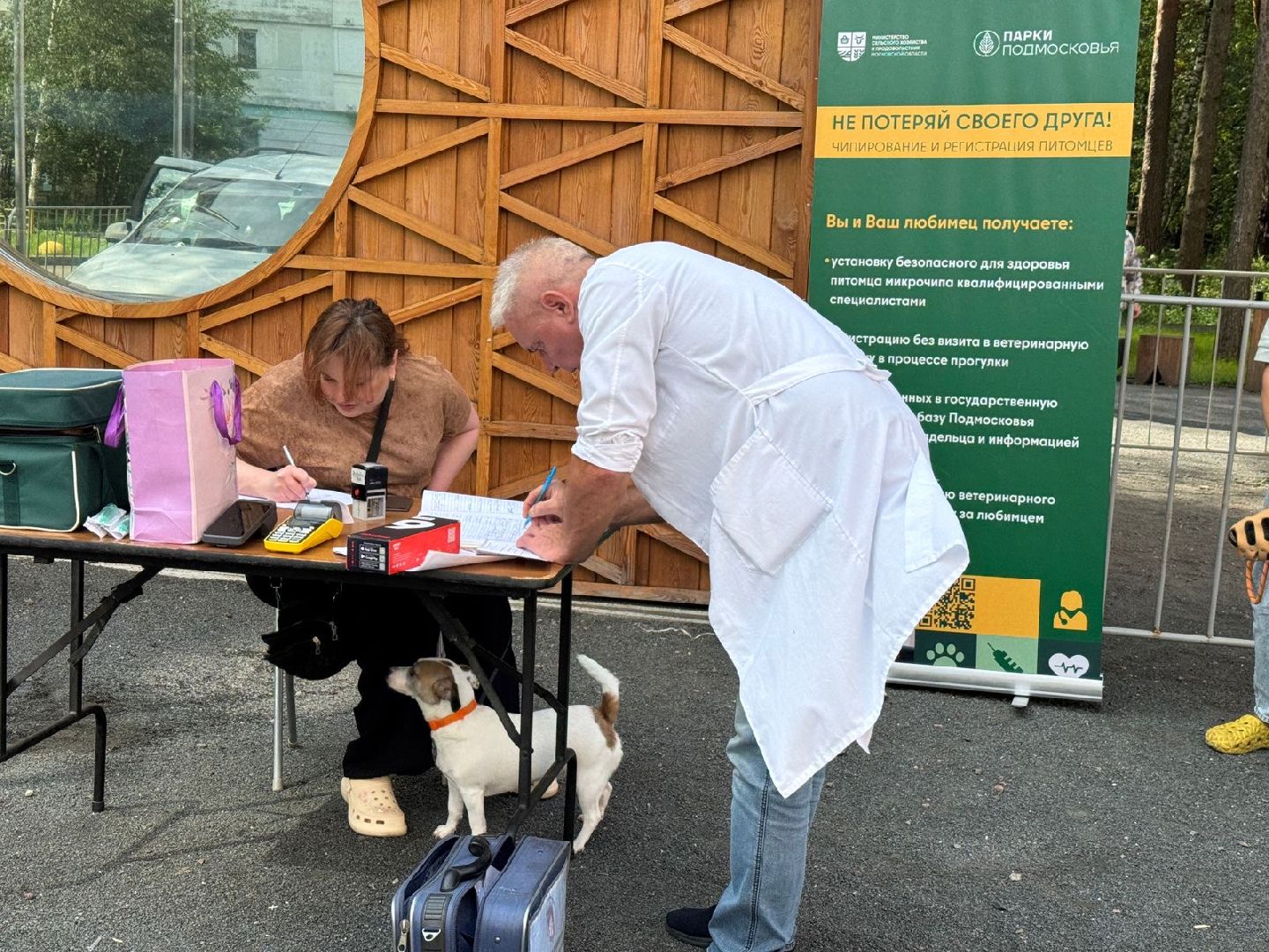 Люберцы, домашние животные, ветеринарная служба, Лесная опушка, Парк,