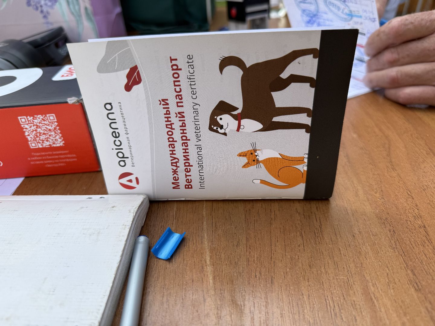 Люберцы, домашние животные, ветеринарная служба, Лесная опушка, Парк,