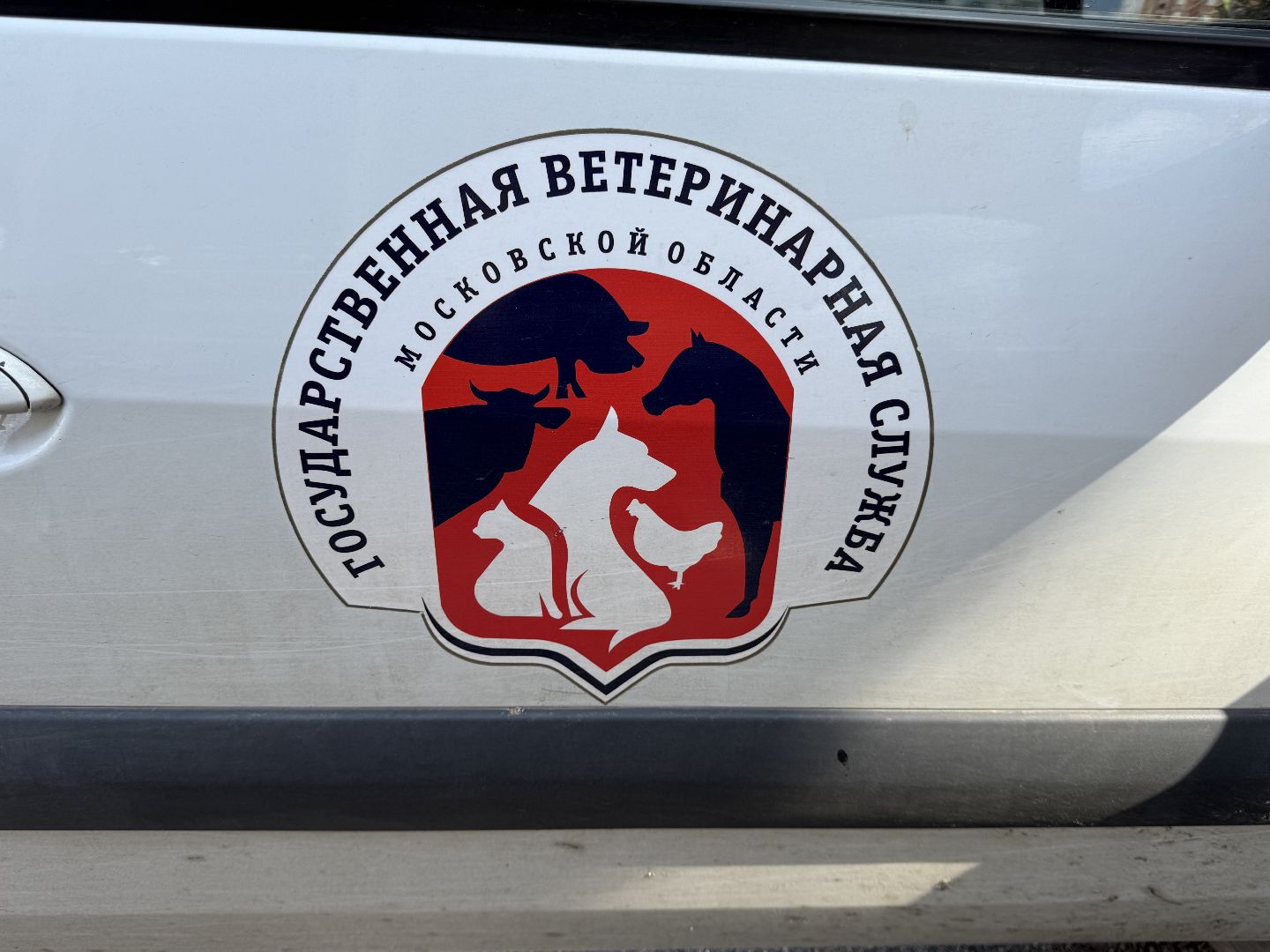 Люберцы, домашние животные, ветеринарная служба, Лесная опушка, Парк,