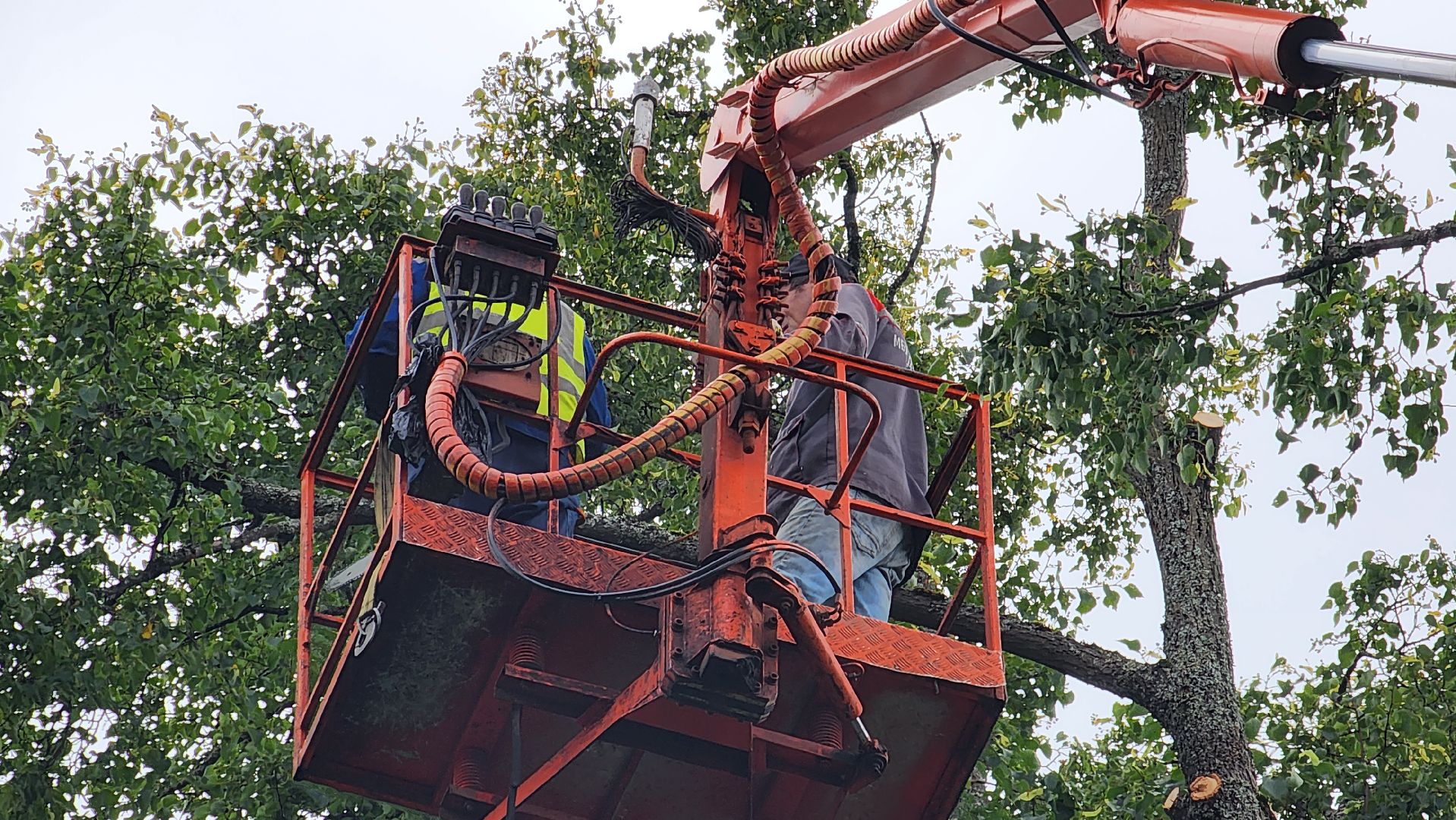 истра, благоустройство, добродел,