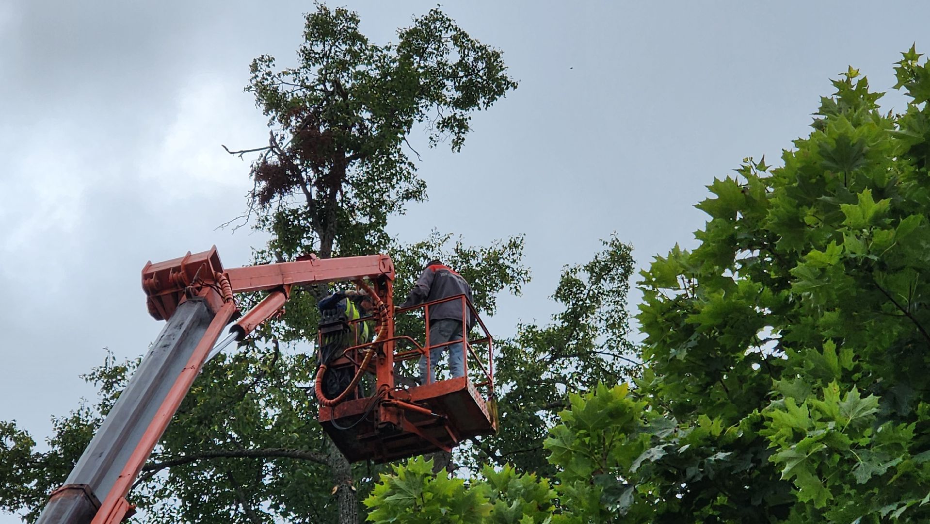 истра, благоустройство, добродел,