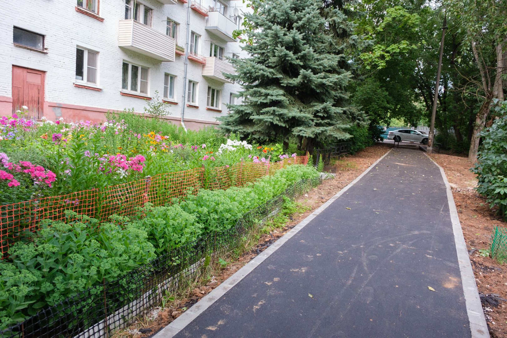 жкх, лыткарино, кбдт, коммунальная служба, чистота, чистота и порядок,  народные тропы,