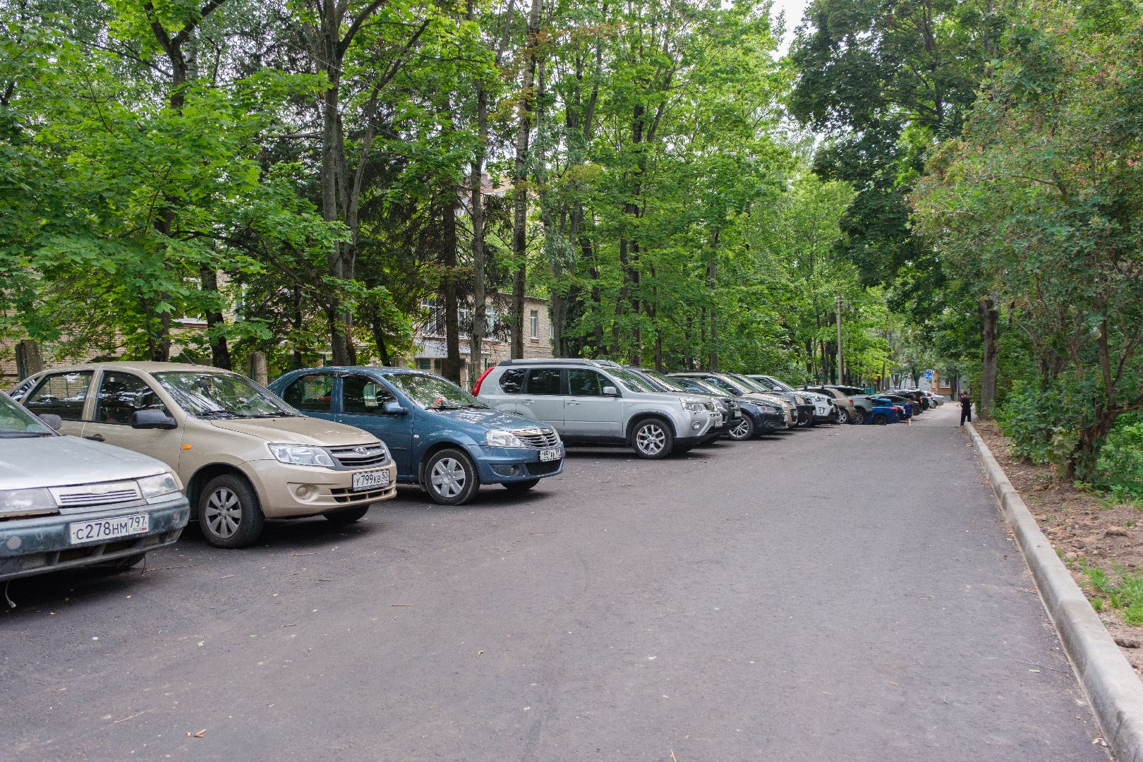 жкх, лыткарино, кбдт, коммунальная служба, чистота, чистота и порядок,  народные тропы,