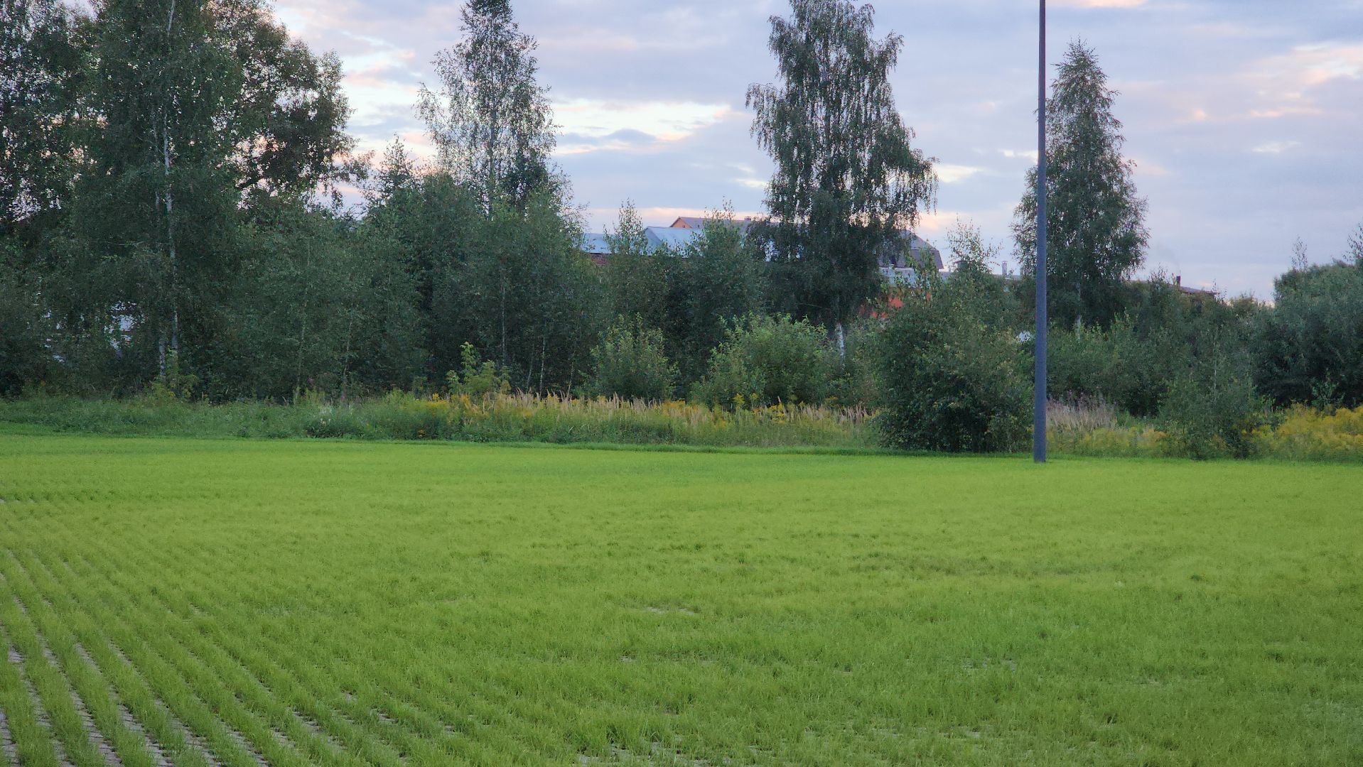 павловский посад, благоустройство , парк,