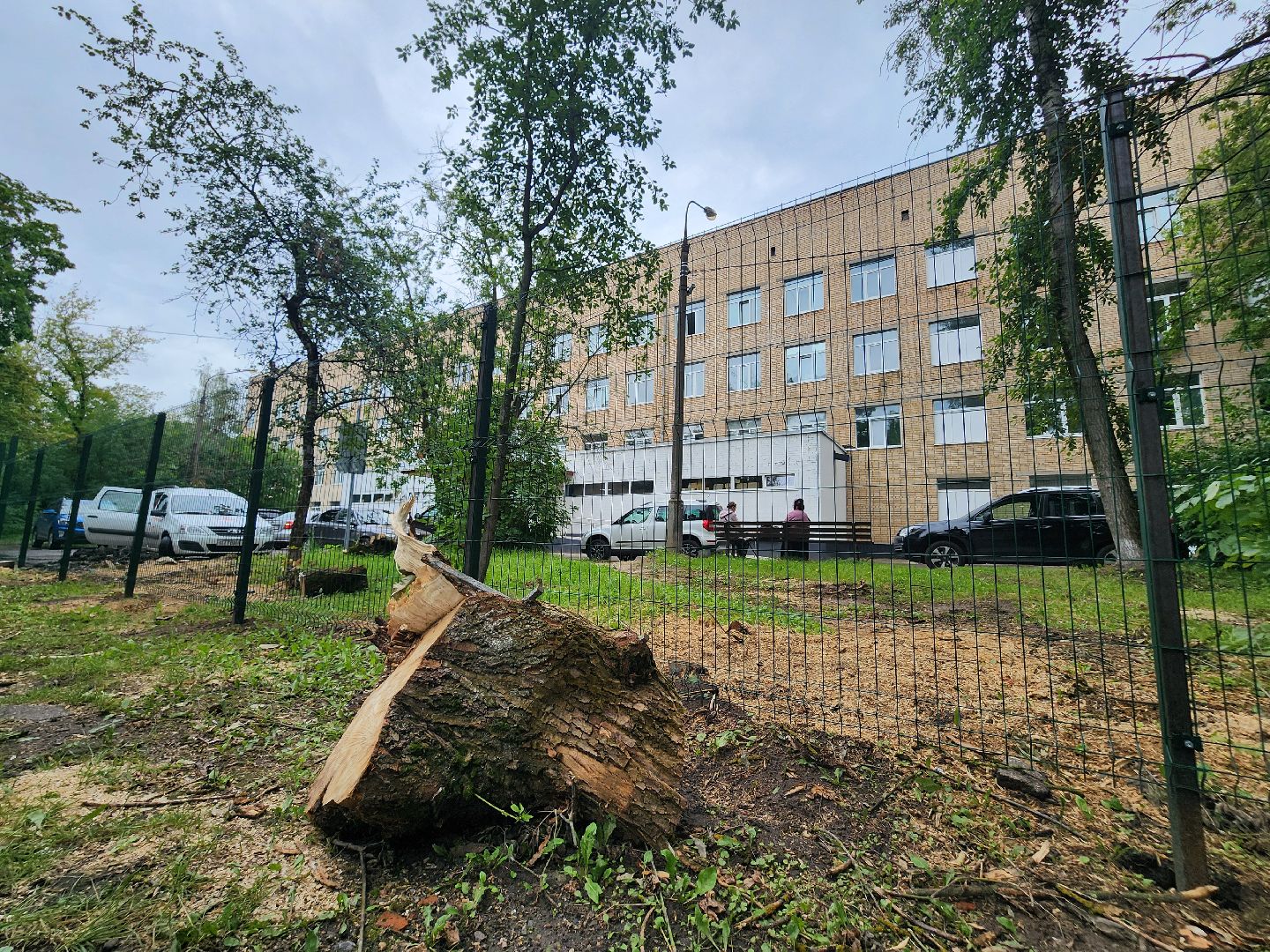 фрязино,  ремонт входной группы, поликлиника, взрослая поликлиника,