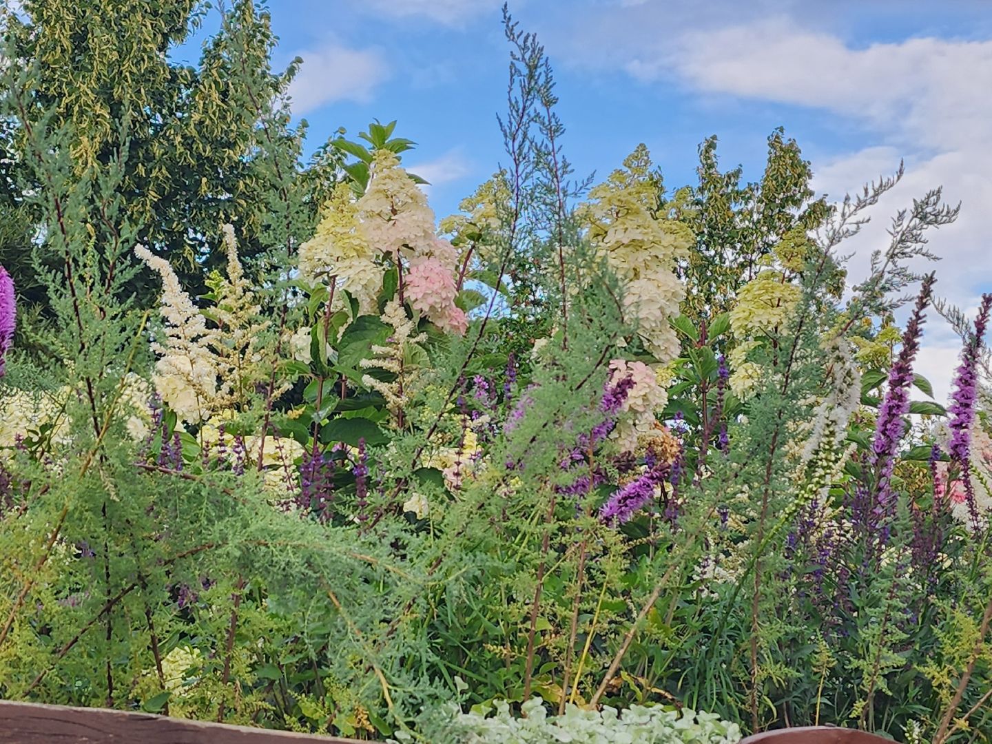 мытищи, столетие, праздник, город,