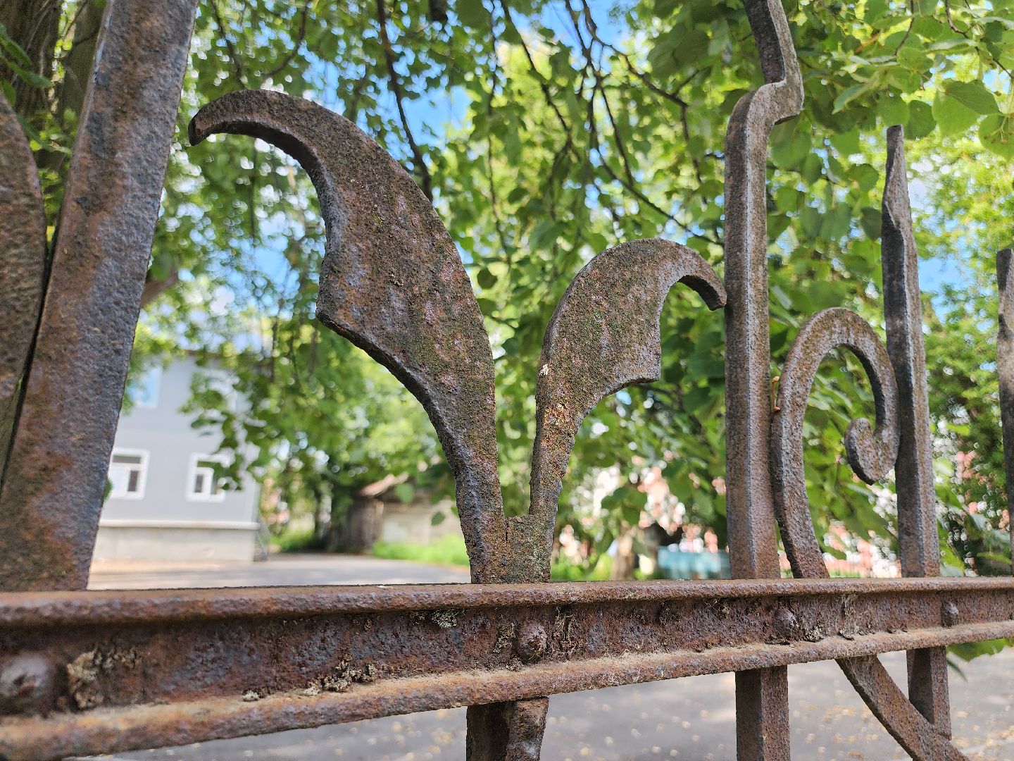 Егорьевск , Подмосковье , Московская область ,туризм,