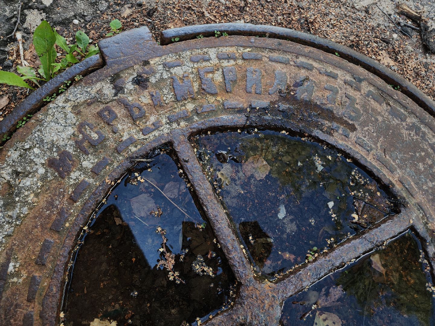 Егорьевск , Подмосковье , Московская область ,туризм,