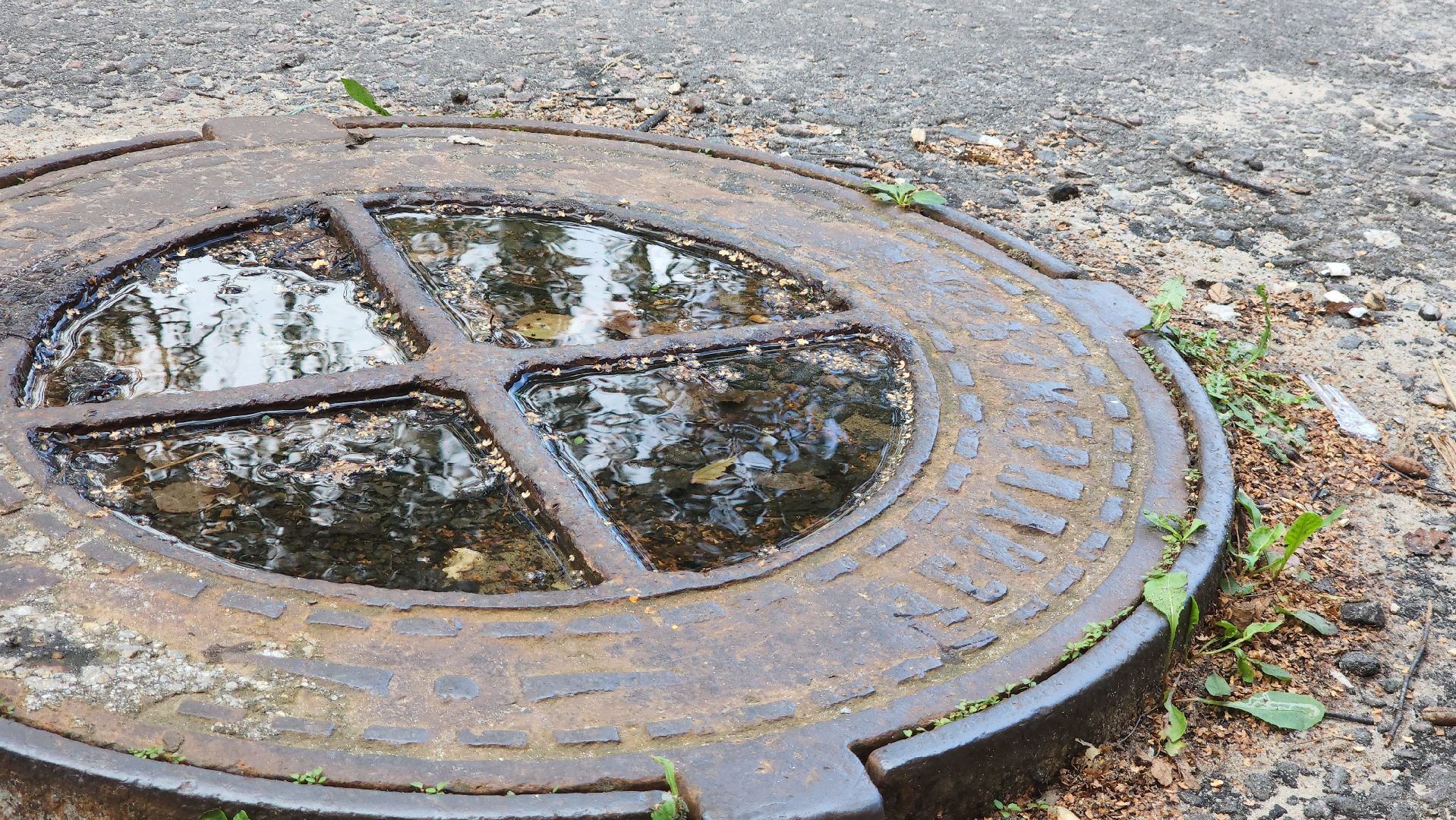 Егорьевск , Подмосковье , Московская область ,туризм,