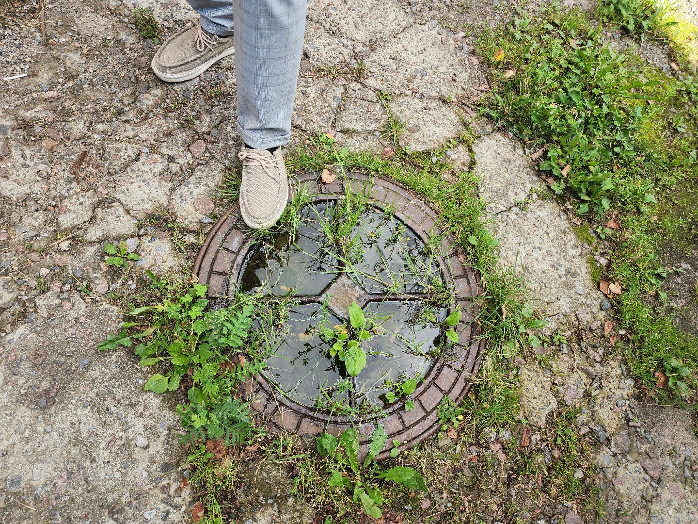 Егорьевск , Подмосковье , Московская область ,туризм,