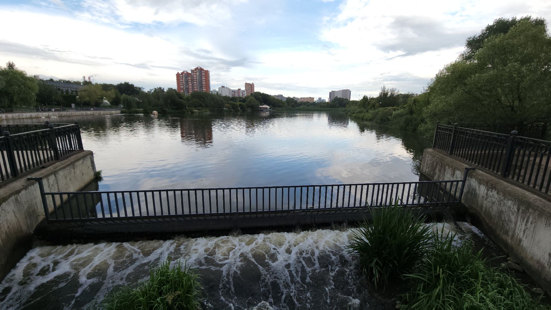 мытищи, лебеди,