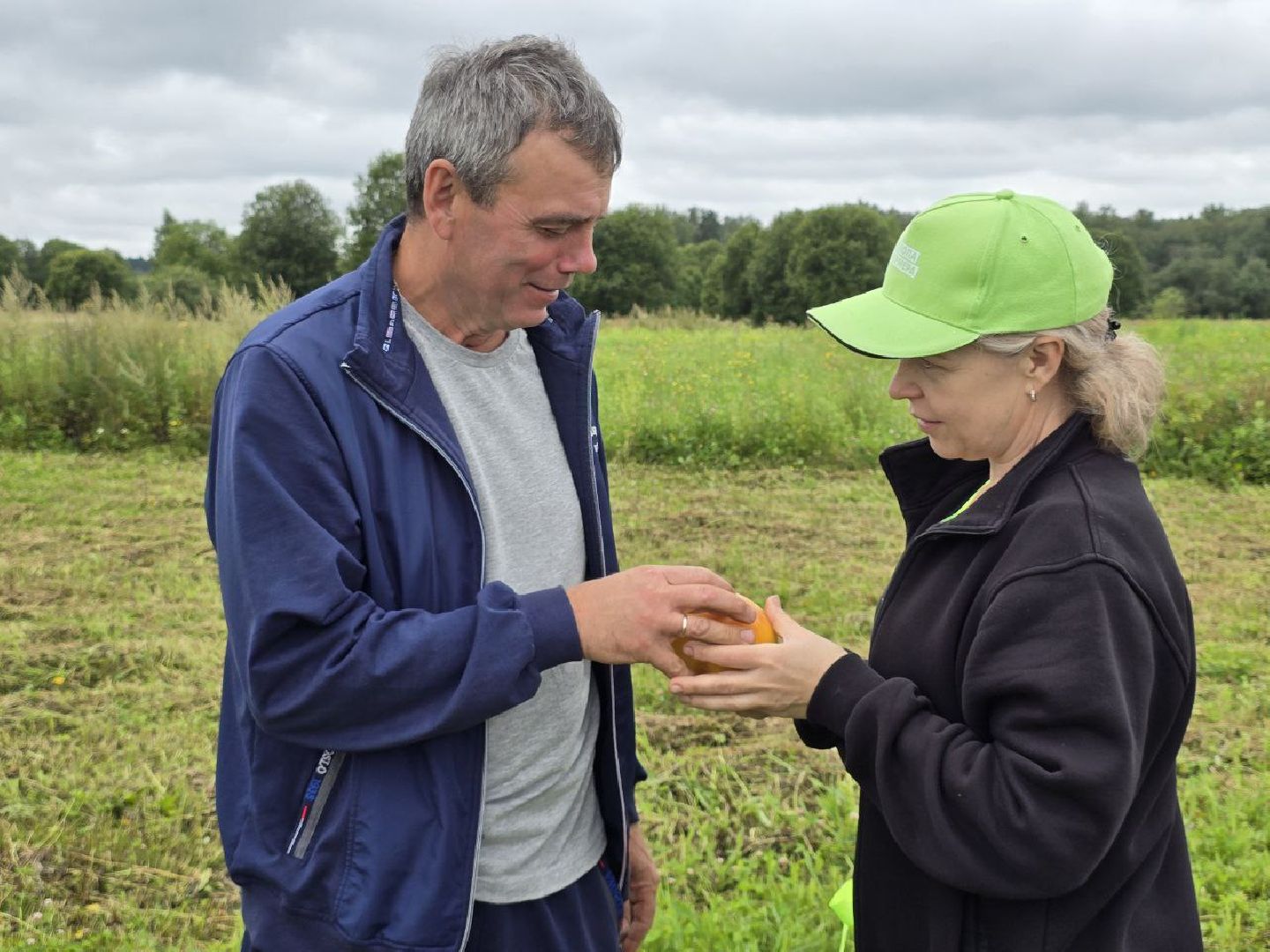 можайск, можайский муниципальный округ, подмосковье,  сельское хозяйство, овощи, ягоды, урожай, фермеры, фермерское хозяйство,