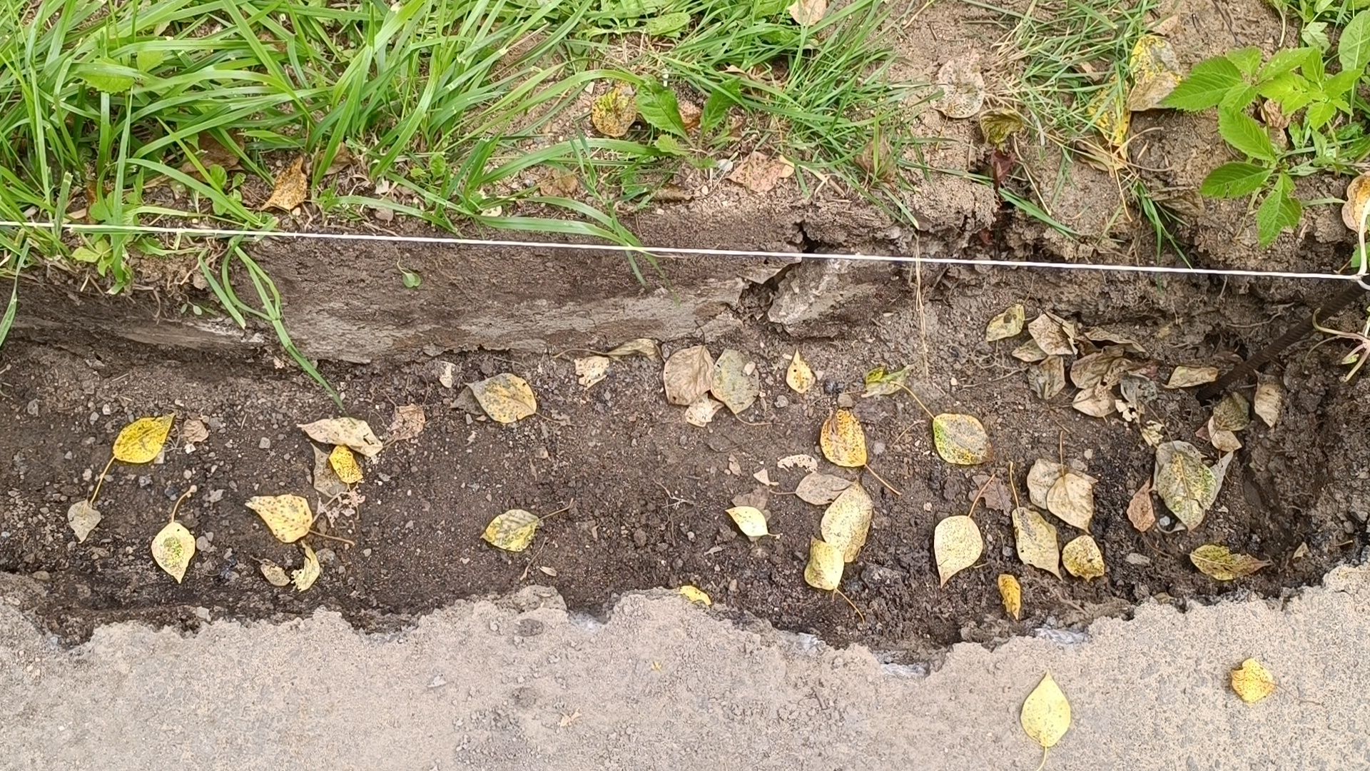 дорога, лобня, ремонт автомобильных дорог,