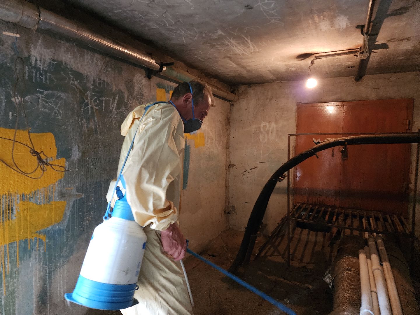 Черноголовка, Дезинсекция, Жкх,