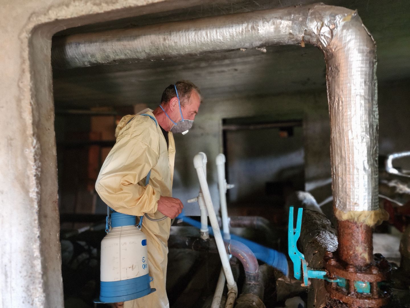 Черноголовка, Дезинсекция, Жкх,