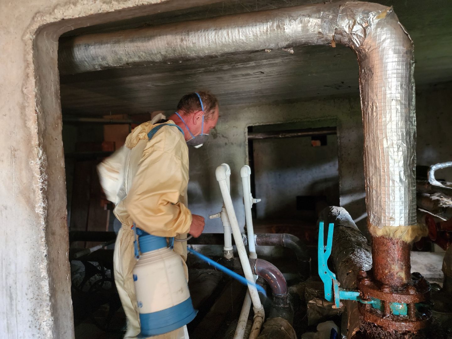 Черноголовка, Дезинсекция, Жкх,