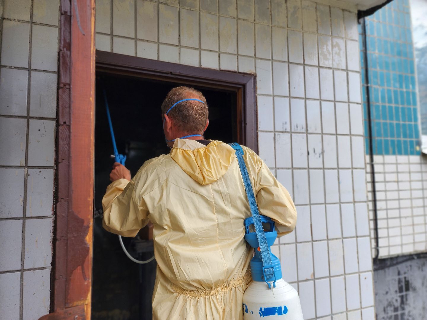 Черноголовка, Дезинсекция, Жкх,