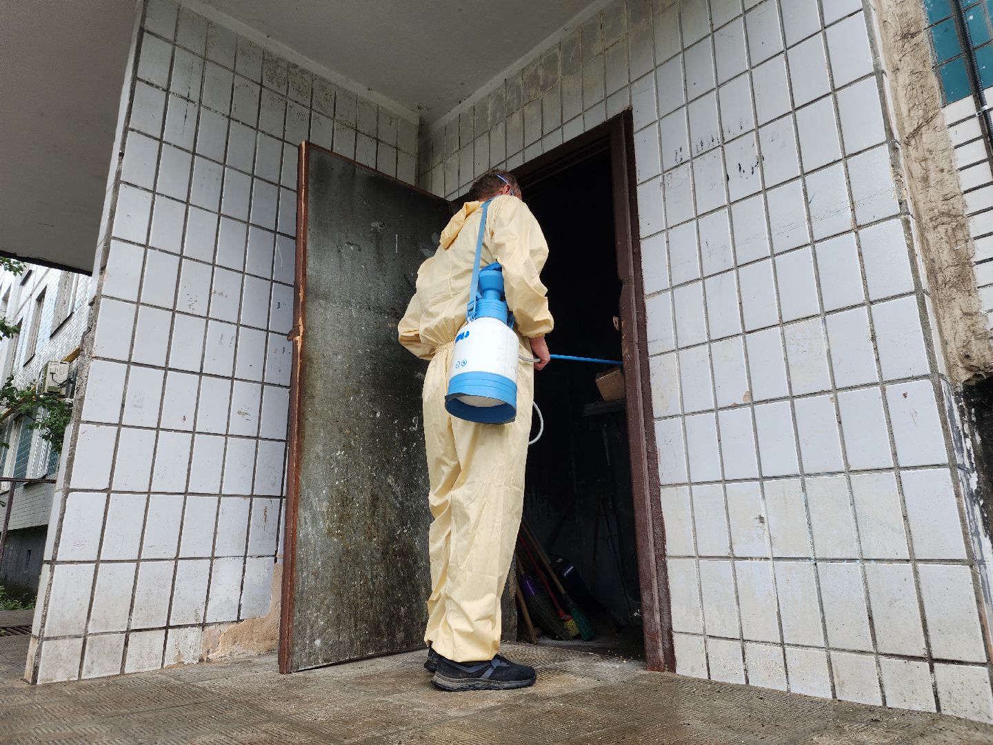 Черноголовка, Дезинсекция, Жкх,