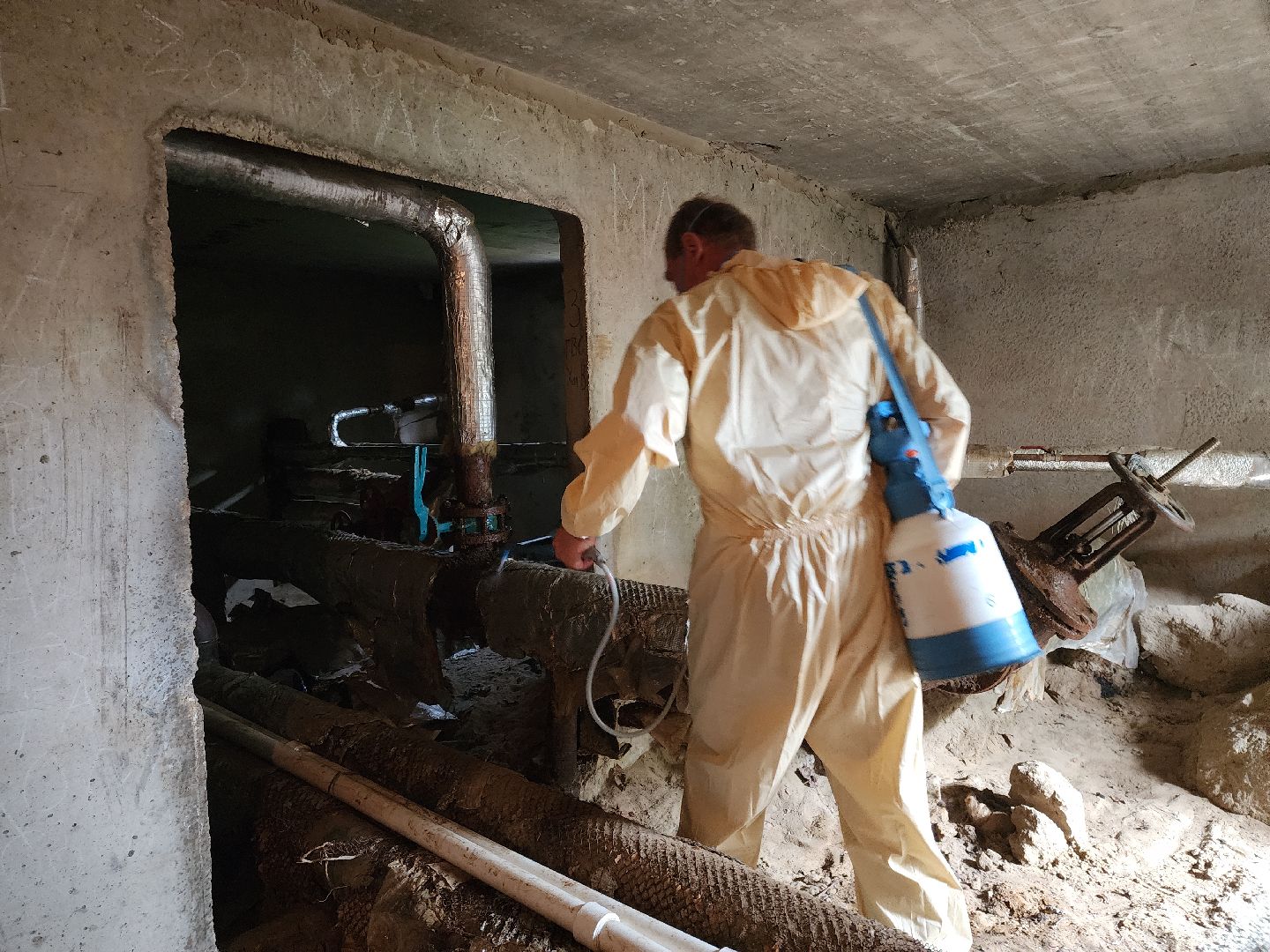 Черноголовка, Дезинсекция, Жкх,