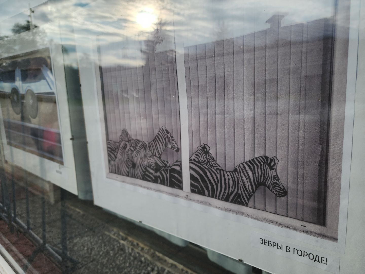 Черноголовка, Культура, Выставка,