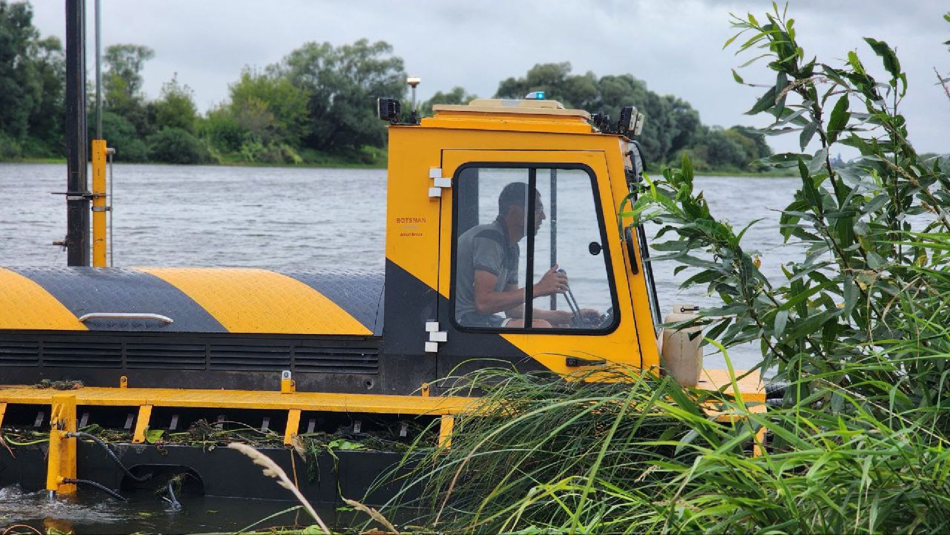луховицы, благоустройство, озеро исток, белоомут,