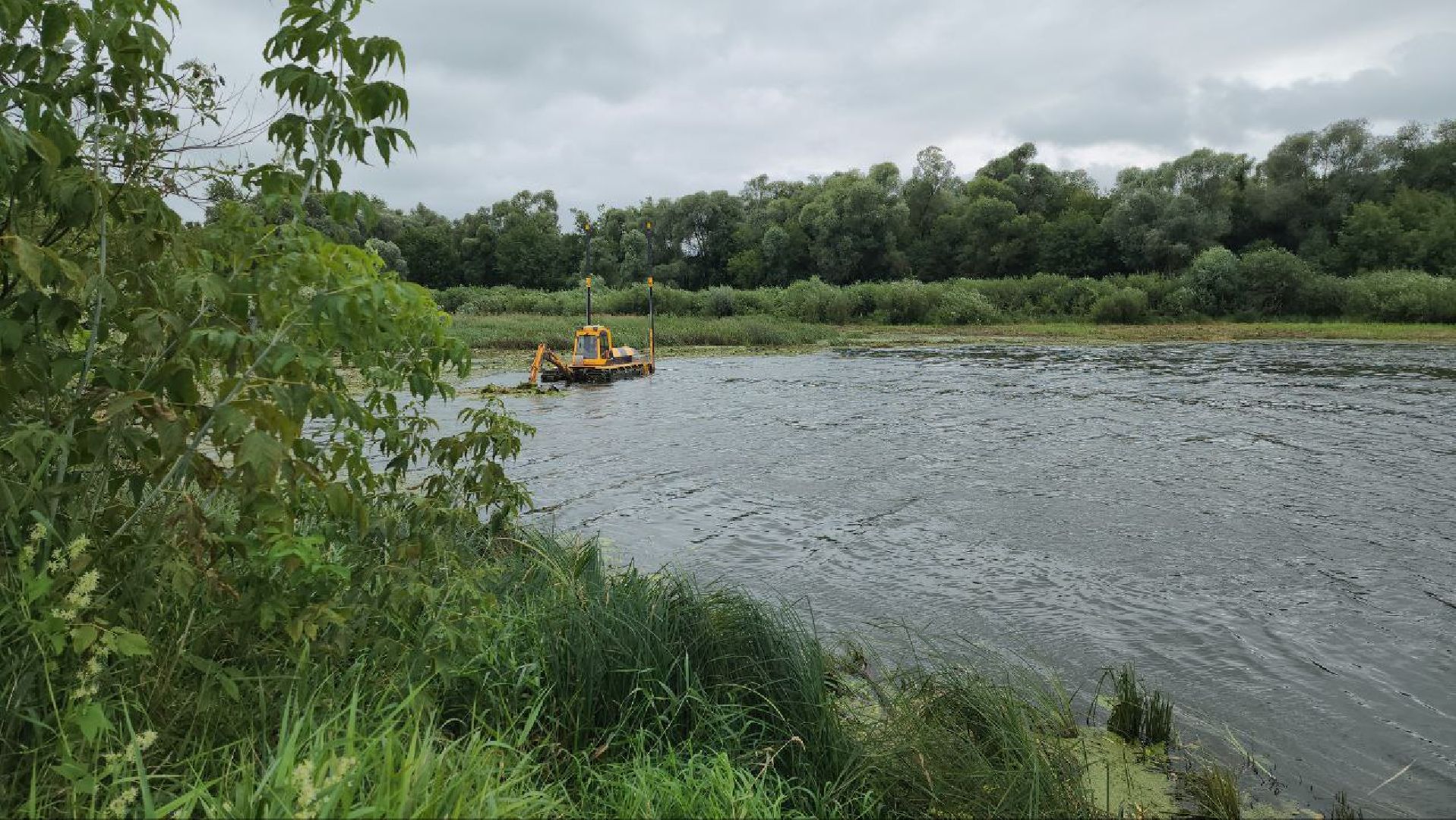 луховицы, благоустройство, озеро исток, белоомут,