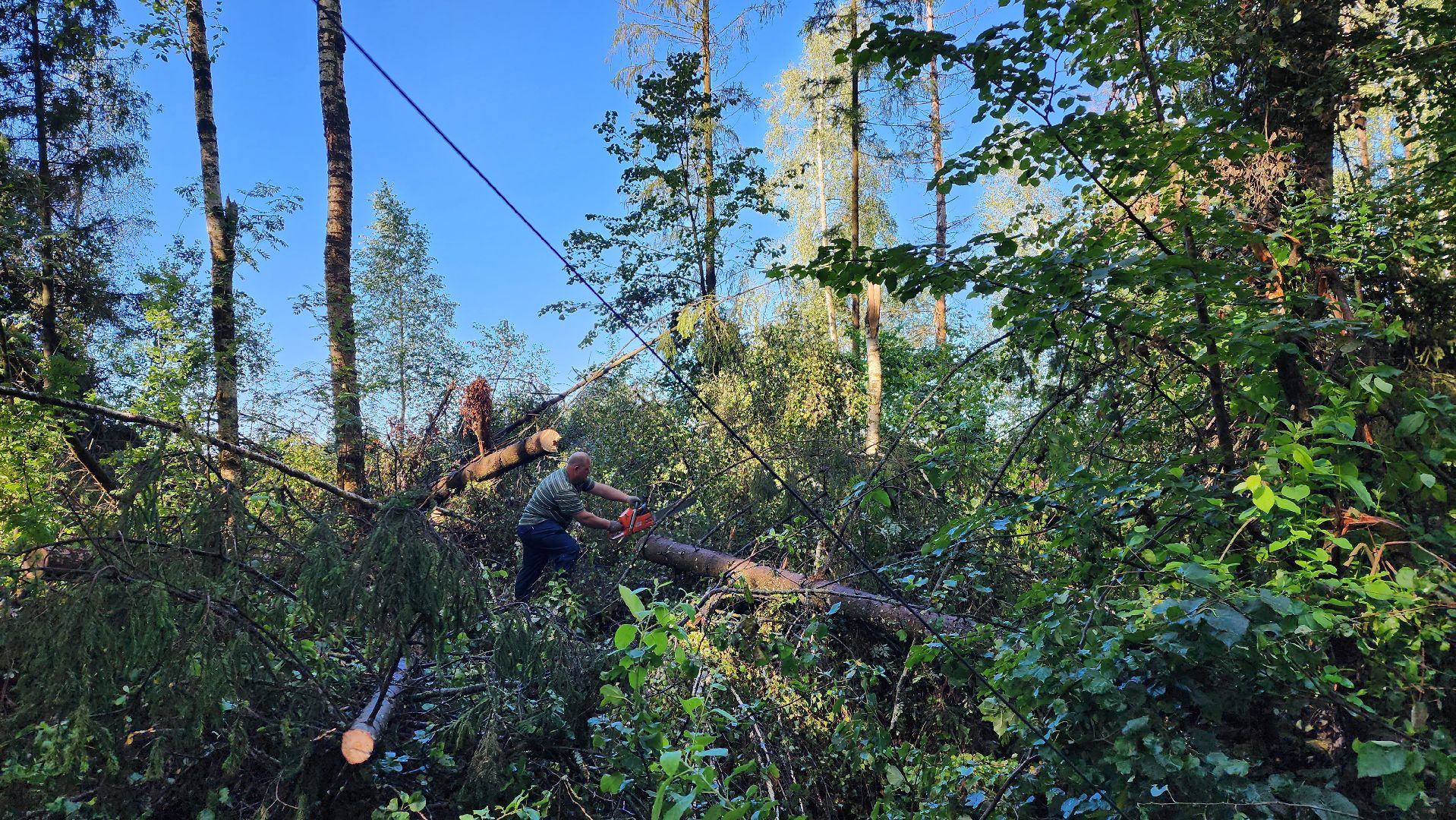 истра, благоустройство,