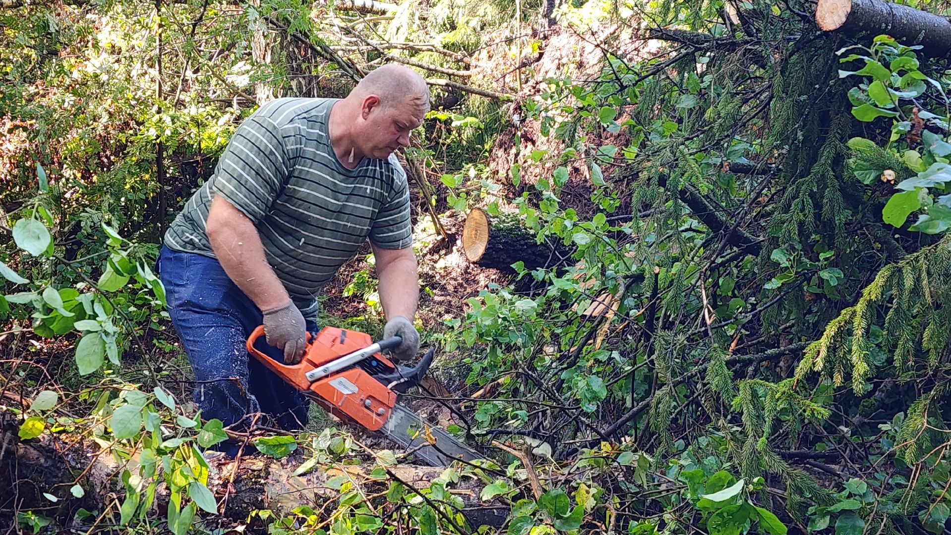 истра, благоустройство,