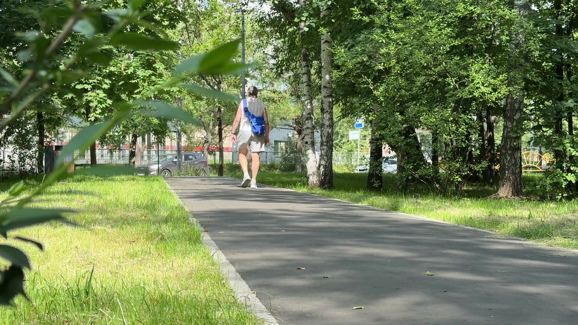 Реутов, народные тропы, программа пешком, дорожки, тротуары, асфальт,