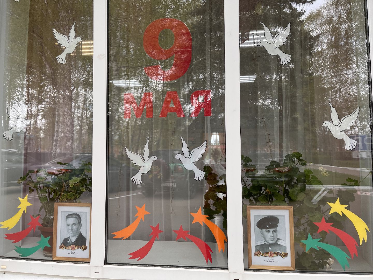 Шаховская, окна победы, 9 мая