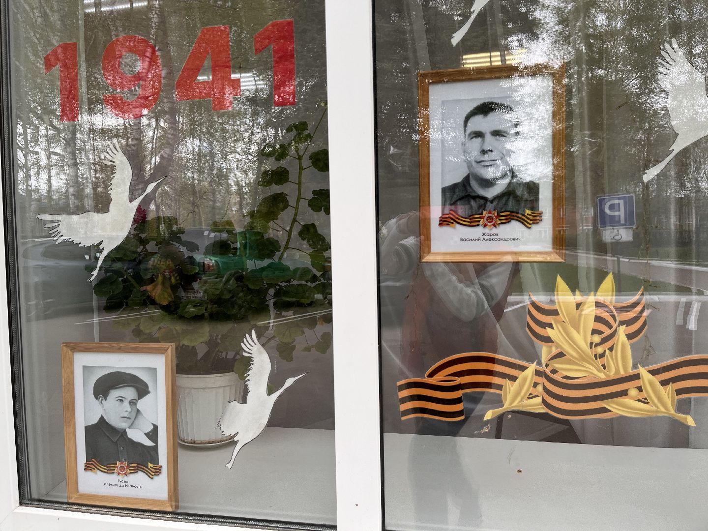 Шаховская, окна победы, 9 мая