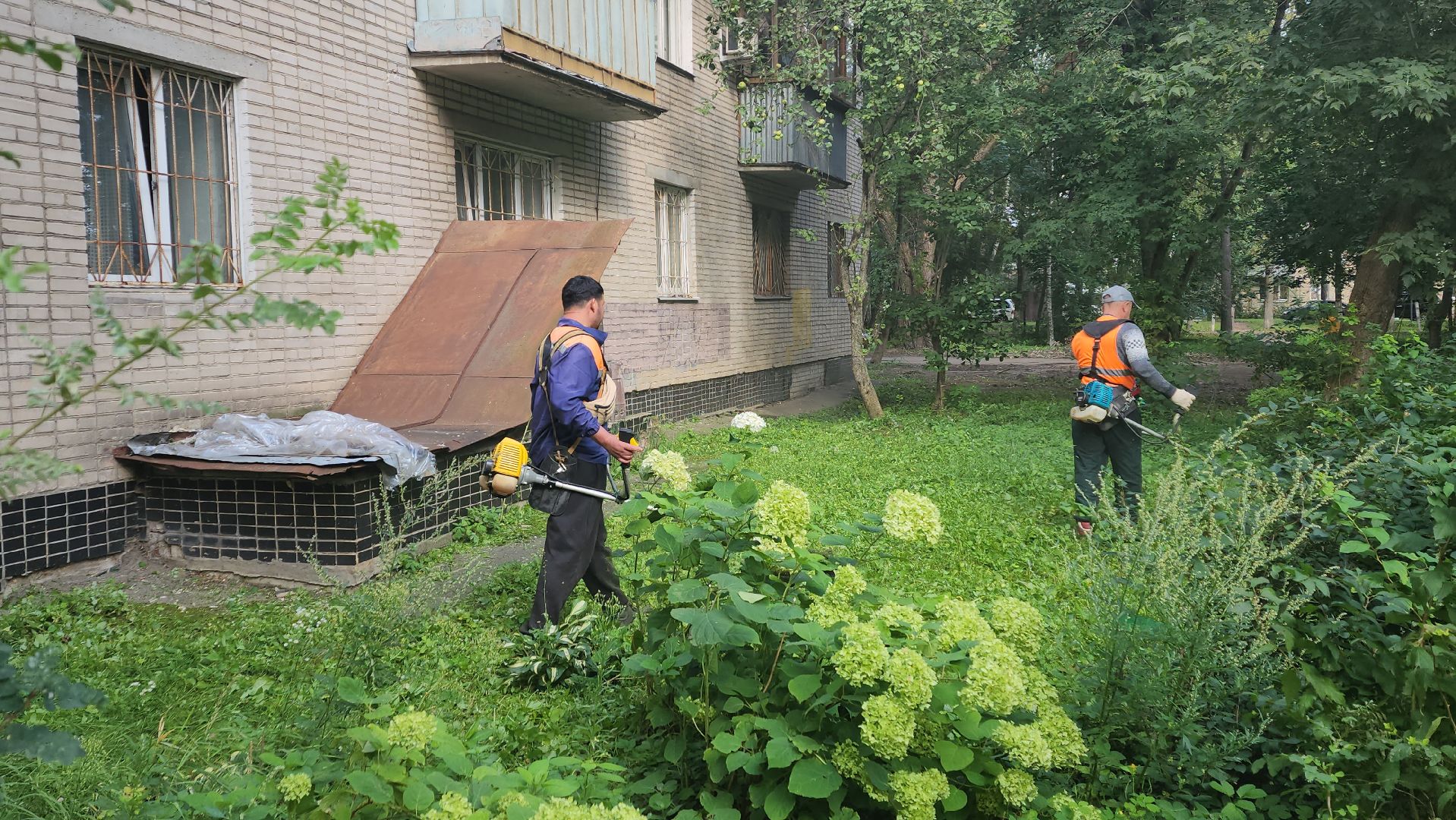 вертикалки, пушкино, благоустройство, покос травы, уборка мусора, обрезка кустарника,дворы,уход за растениями,