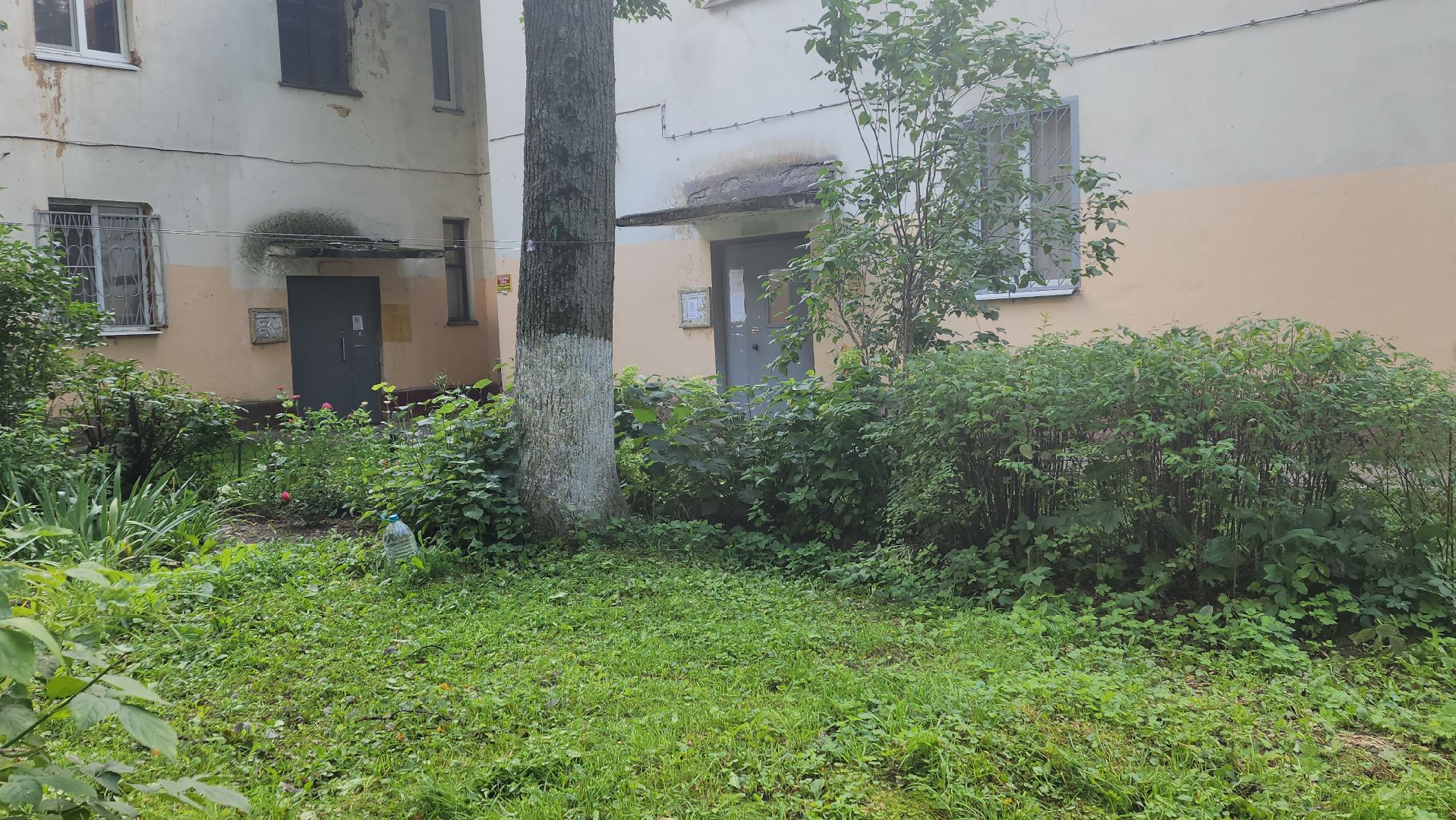 вертикалки, пушкино, благоустройство, покос травы, уборка мусора, обрезка кустарника,дворы,уход за растениями,