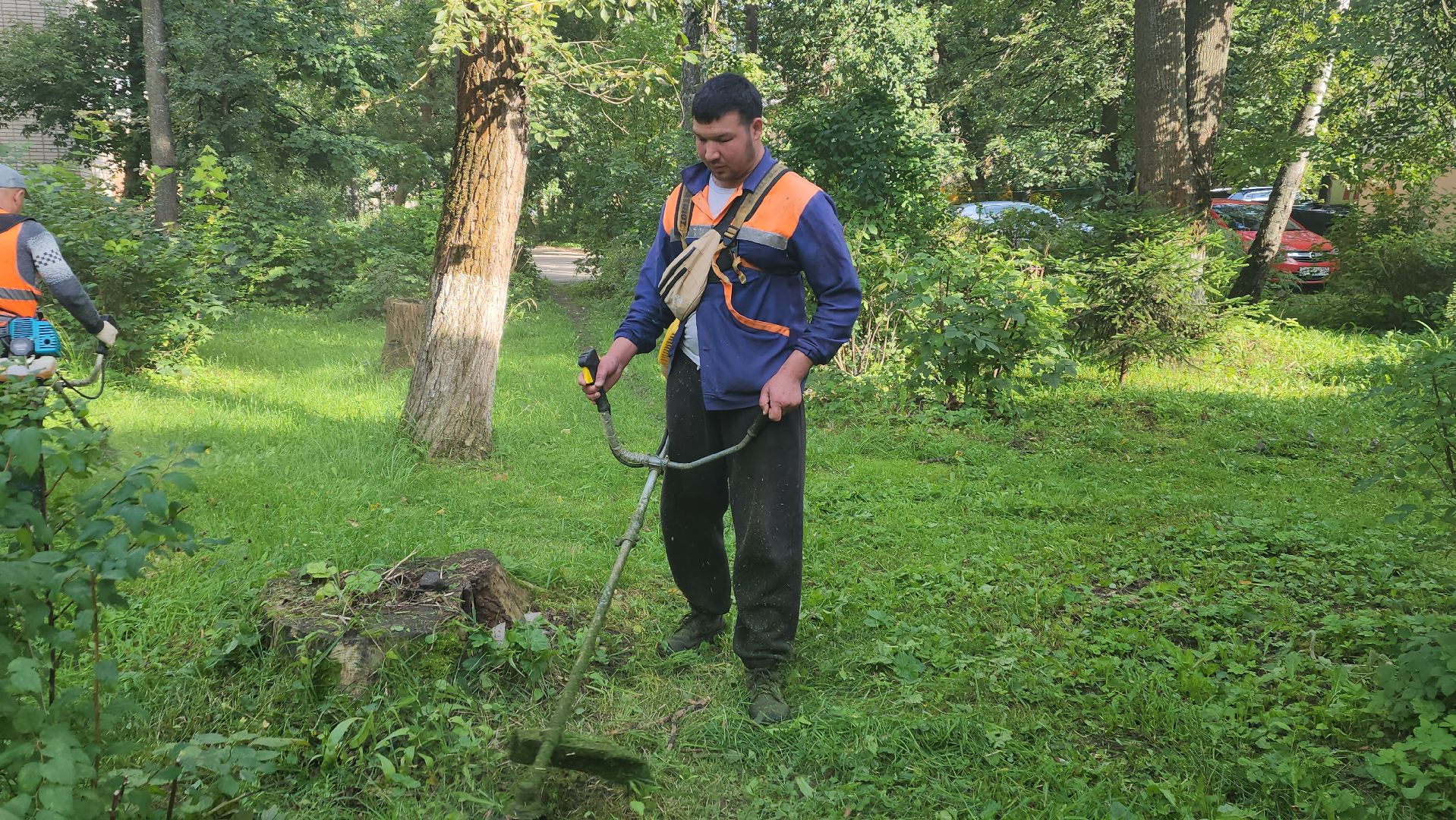 вертикалки, пушкино, благоустройство, покос травы, уборка мусора, обрезка кустарника,дворы,уход за растениями,