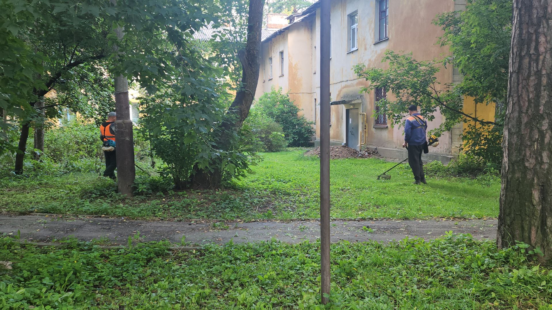 вертикалки, пушкино, благоустройство, покос травы, уборка мусора, обрезка кустарника,дворы,уход за растениями,