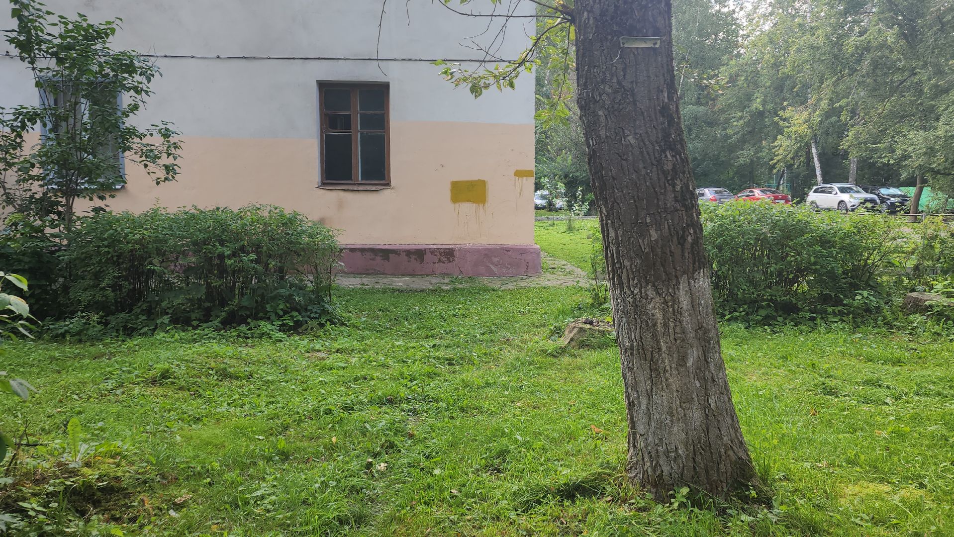 вертикалки, пушкино, благоустройство, покос травы, уборка мусора, обрезка кустарника,дворы,уход за растениями,