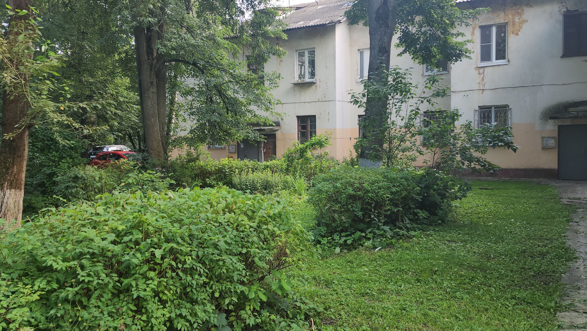 вертикалки, пушкино, благоустройство, покос травы, уборка мусора, обрезка кустарника,дворы,уход за растениями,