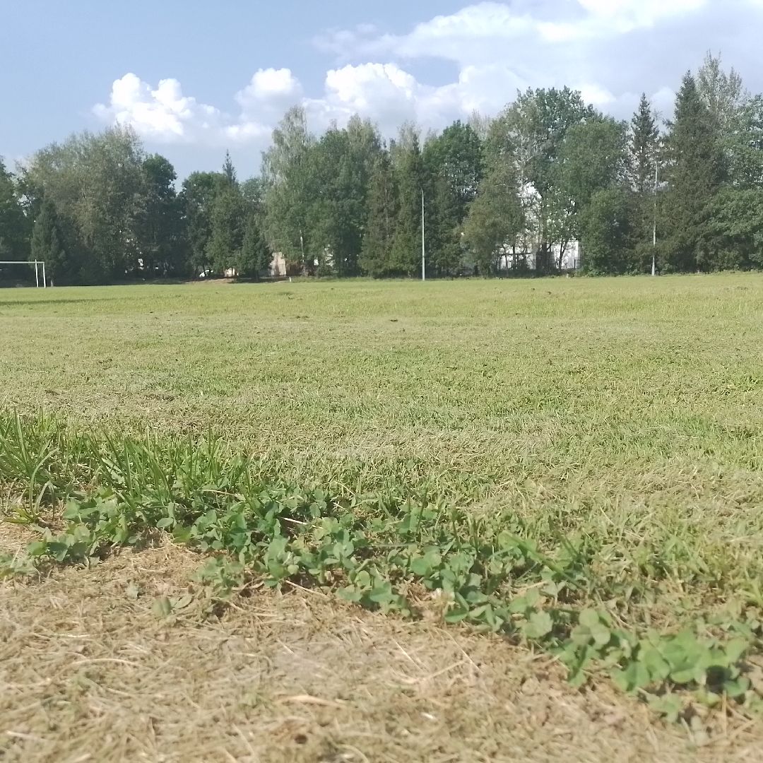 городской округ восход, благоустройство, газон, футбольное поле,