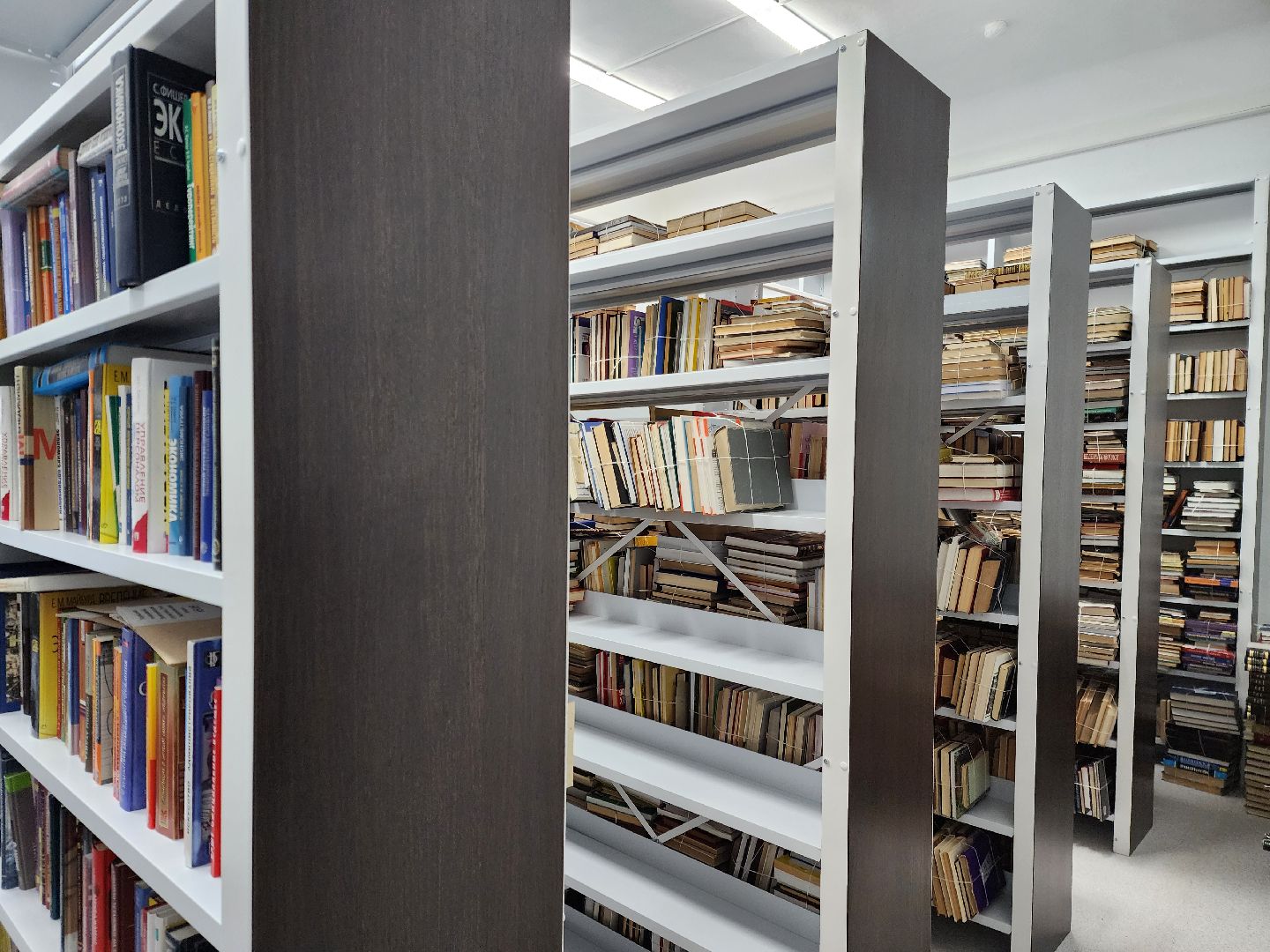 электросталь, библиотека, ремонт, строительство, общество,