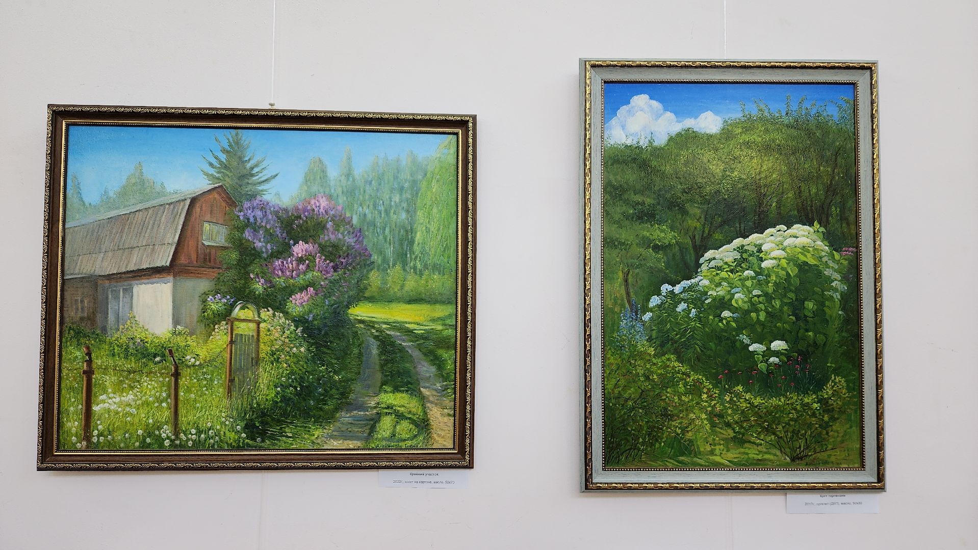 вертикалки, пушкино, художественная выставка, картины, картины маслом, художница, живопись, лето, цветы,
