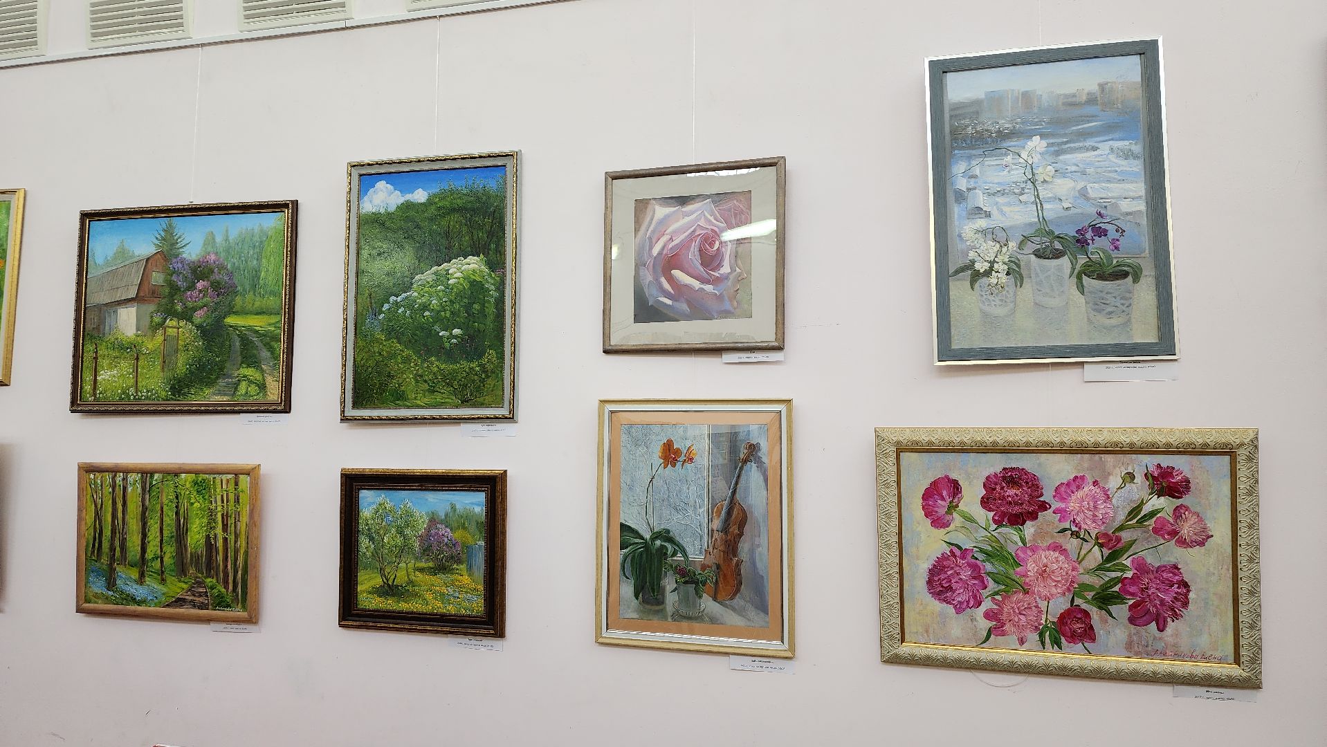 вертикалки, пушкино, художественная выставка, картины, картины маслом, художница, живопись, лето, цветы,