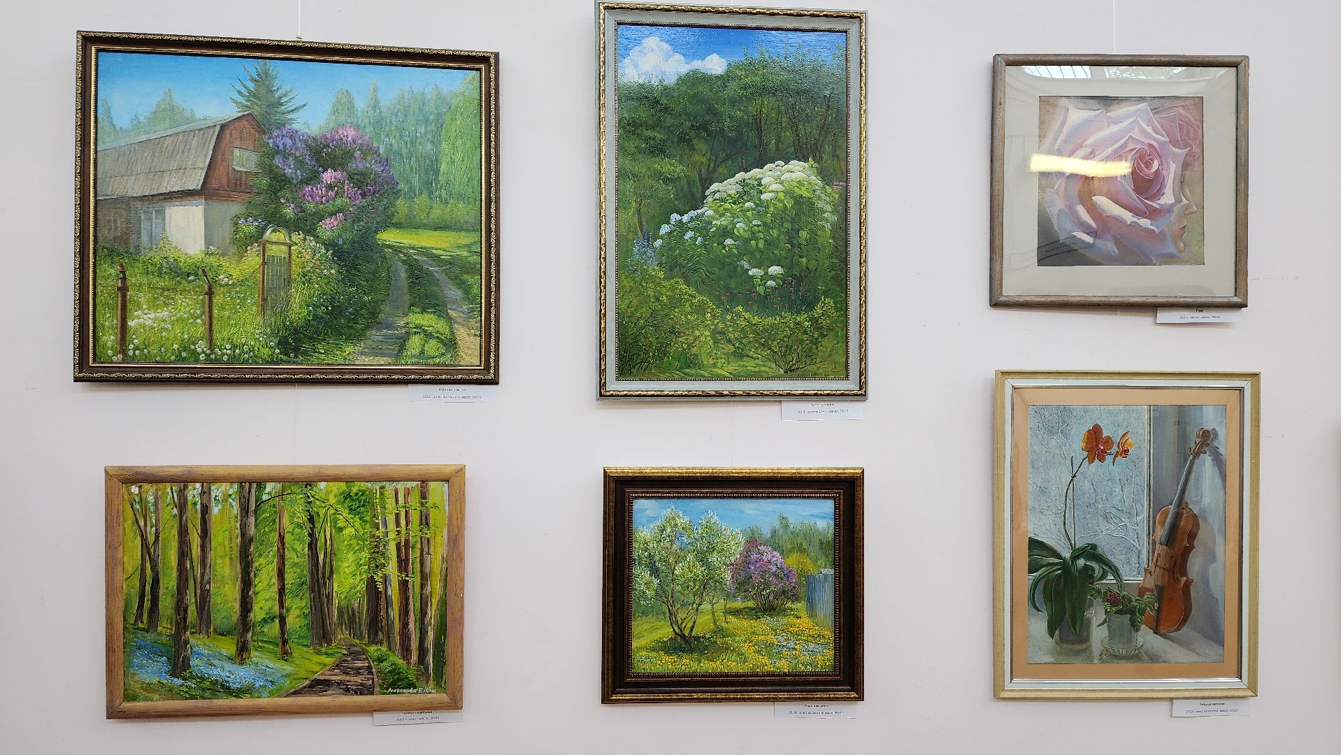 вертикалки, пушкино, художественная выставка, картины, картины маслом, художница, живопись, лето, цветы,