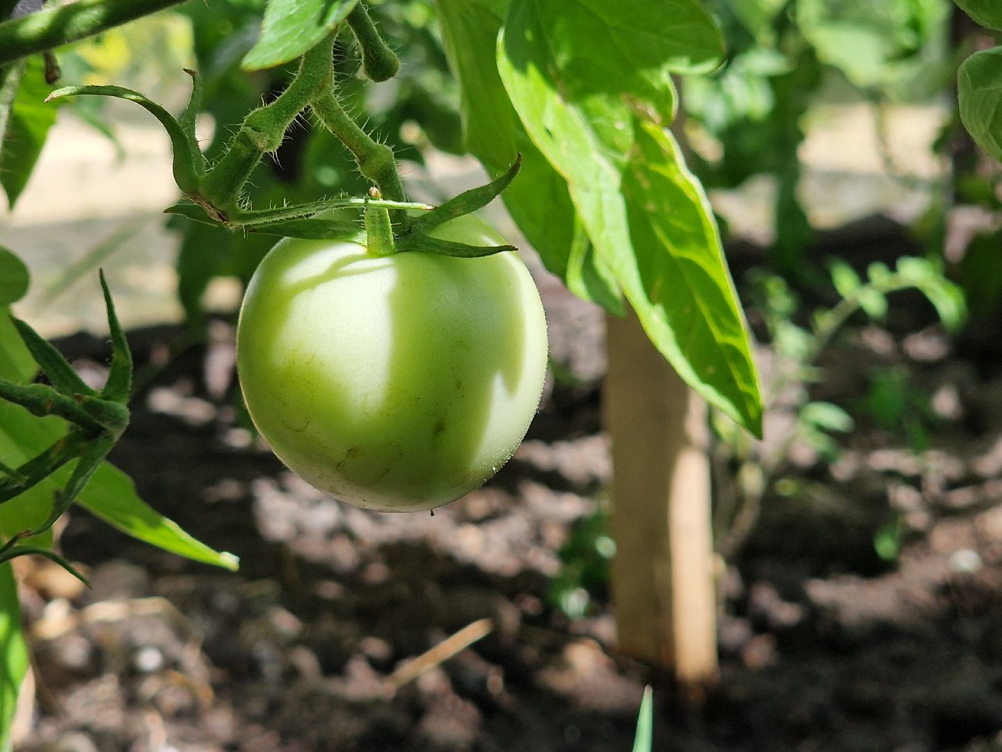 гимназия 1 имени героя рф баландина, балашиха,