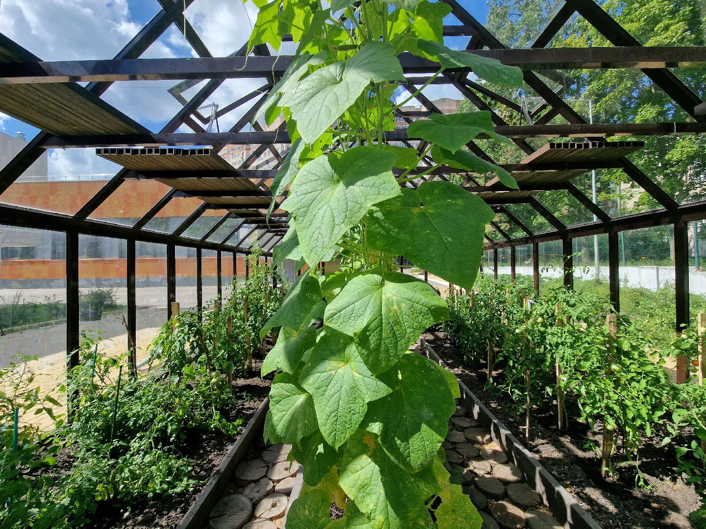 гимназия 1 имени героя рф баландина, балашиха,