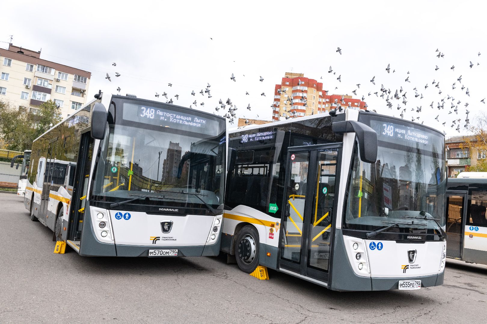 транспорт, маршрут 348, автобус 348, лыткарино, котельники, петровское,