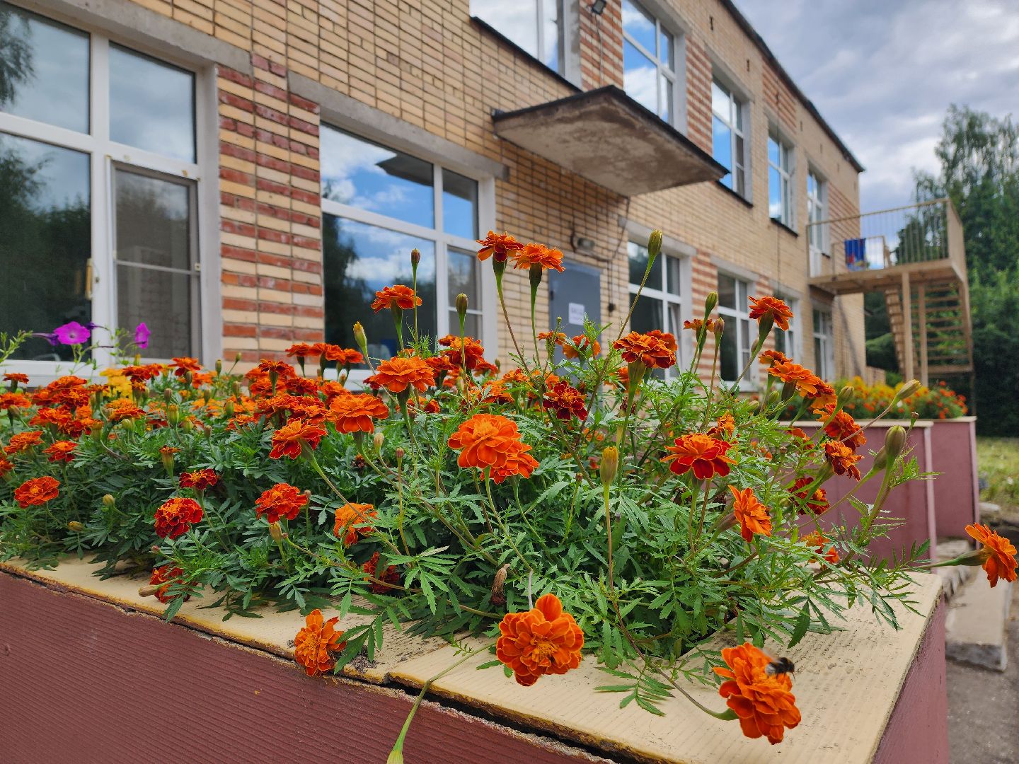 красноармейск, городской округ пушкинский, детский сад, благоустройство детских садов,