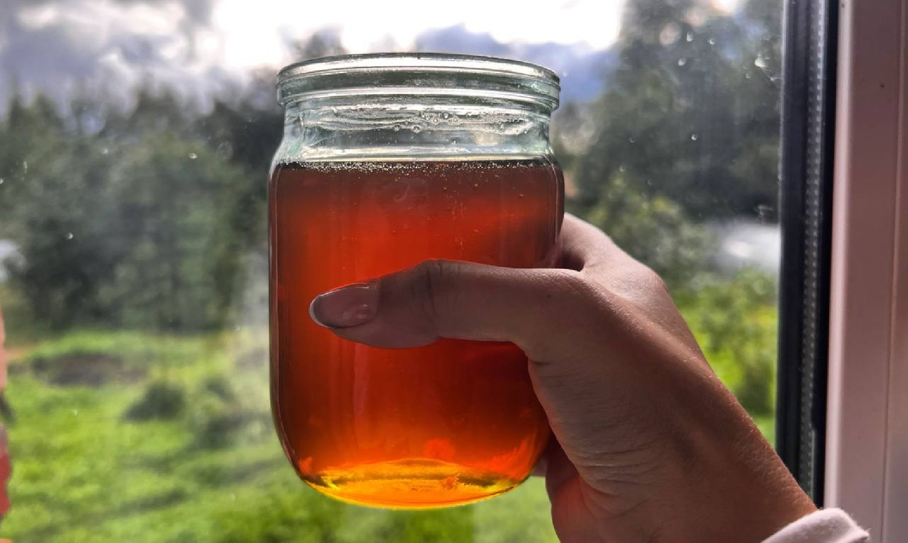 сергиев посад, сергиево-посадский городской округ, мёд, малазийские пчелы , манука, полезная еда, хомяково, пасека, пасечник,