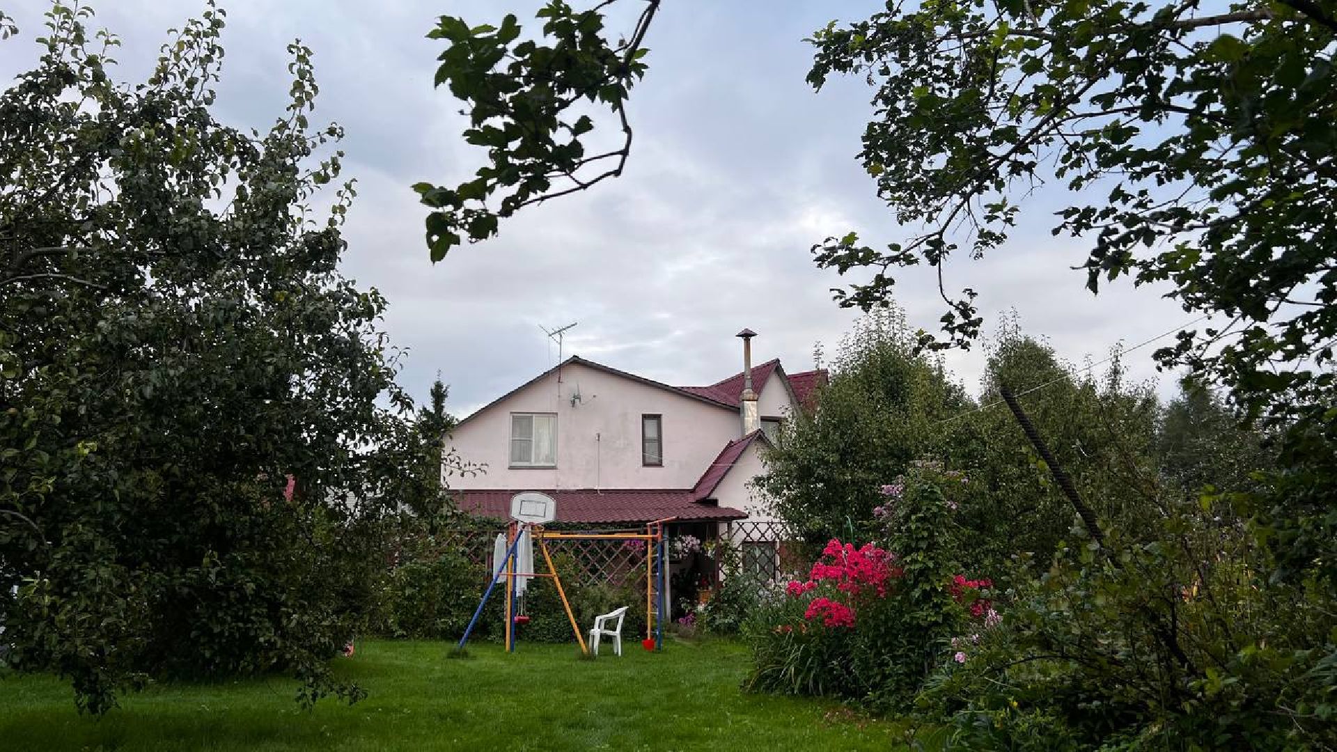 сергиев посад, сергиево-посадский городской округ, мёд, малазийские пчелы , манука, полезная еда, хомяково, пасека, пасечник,