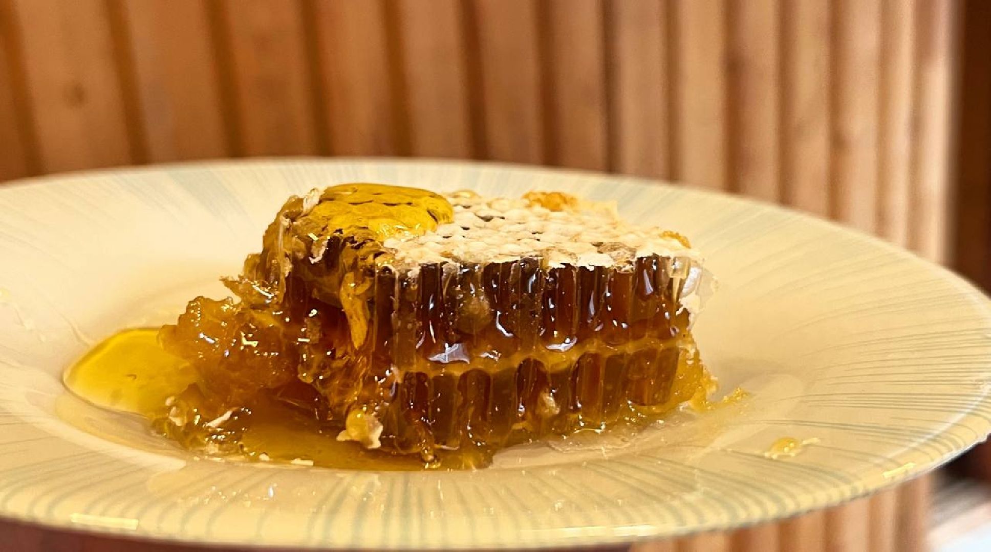 сергиев посад, сергиево-посадский городской округ, мёд, малазийские пчелы , манука, полезная еда, хомяково, пасека, пасечник,