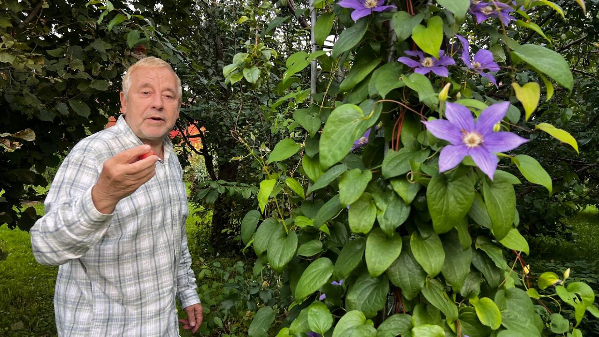 сергиев посад, сергиево-посадский городской округ, мёд, малазийские пчелы , манука, полезная еда, хомяково, пасека, пасечник,